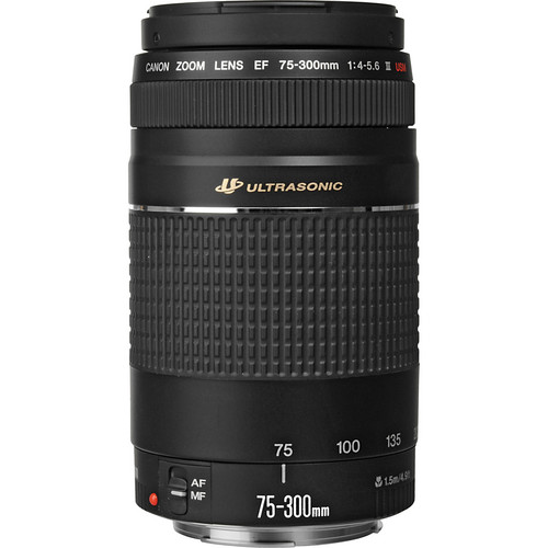 Canon-EF-75-300mm-f4-5.6-III-USM-Lens-2-www.filters-exchange.com_